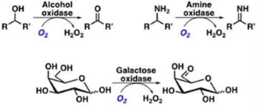 dr-sebastian-cosgrove-biocatalysis-500x207