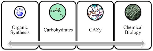 professor-gavin-millar-carbohydrates-500x166