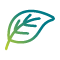 Leaf icon